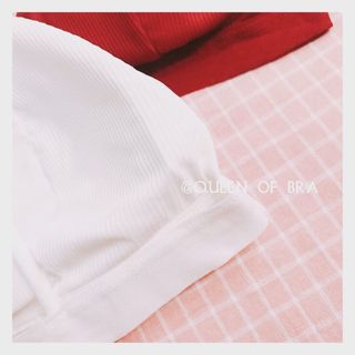 Áo lót hình sò siêu sexy