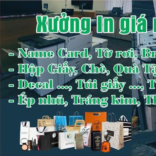 TÚI GIẤY IN THEO YÊU CẦU