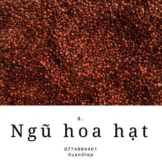 NGŨ HOA HẠT