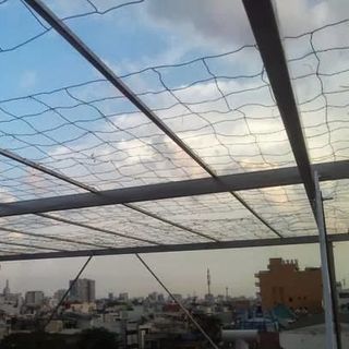 Lưới cho cây leo