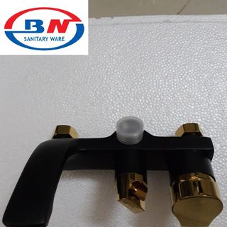 Sen cây sơn tĩnh điện BN