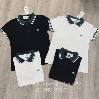 ÁO THUN CỔ BẺ VIỀN LOGO CÁ SẤU