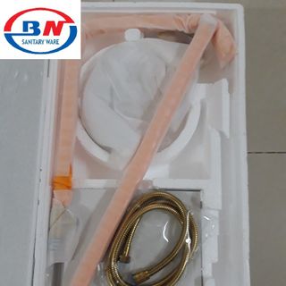 Sen cây sơn tĩnh điện BN