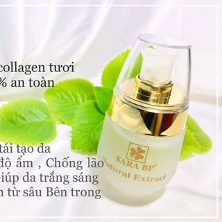 serum colagen
