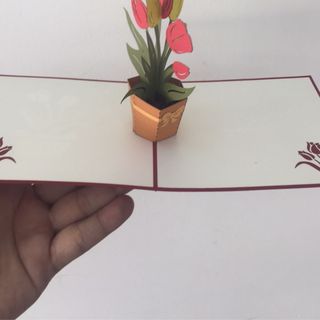 Thiệp nổi 3d - quà tặng ý nghĩa