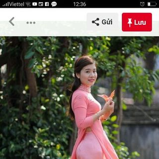 áo trơn hồng sen