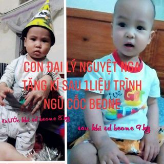 NGŨ CỐC BEONE BÁN BUÔN GIÁ SỈ CỰC THẤP