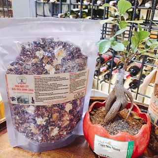 TRÀ GẠO LỨT ĐẬU ĐEN XANH LÒNG