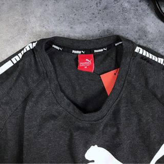 Áo phông nam cotton 4c