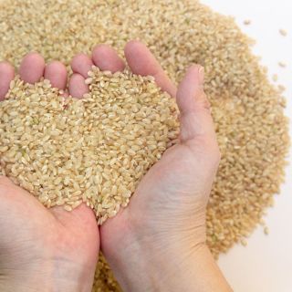 GẠO LỨT NHẬT HOKKAIDO YUMEPIRIKA TAWARAYA - TÌM KIẾM THỊ TRƯỜNG HORECA - ĐẠI LÝ CÁC TỈNH