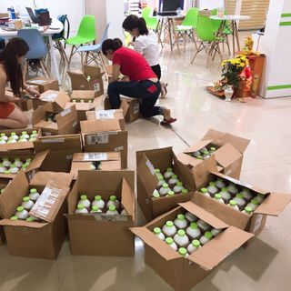 Dịp lục Synery Xuất xứ Mỹ