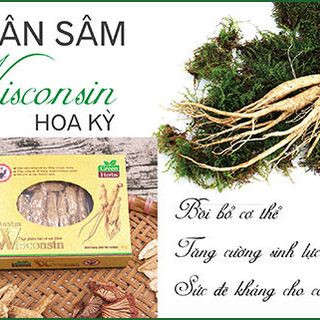 NHÂN SÂM WISCONSIN HOA KỲ NGUYÊN CỦ 50G - BỒI BỔ SỨC KHỎETĂNG SỨC ĐỀ KHÁNG - SP CỦA THẢO DƯỢC XANH giá sỉ