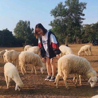 áo dù lớp phối màu