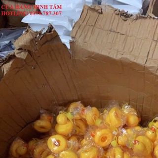 Vịt Chong Chóng Gắn Xe