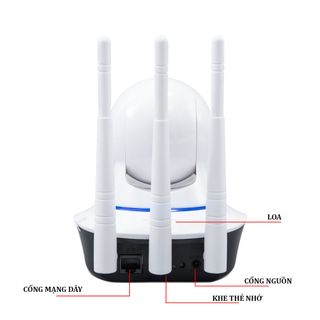 Camera Giám Sát Hapsee Mate 3 Râu – Camera Trong Nhà Hỗ Trợ Hồng Ngoại