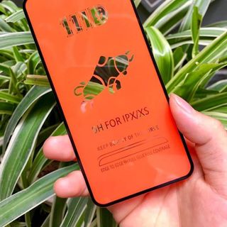 kính cường lực 111D bò tót