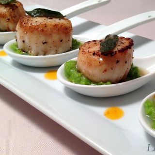 CỒI SÒ ĐIỆP SIZE LỚN