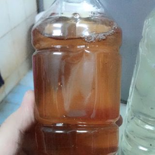 Sâm giải khát nhà làm