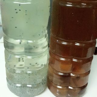 Sâm giải khát nhà làm
