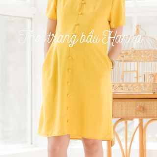ĐẦM BẦU CÔNG SỞ