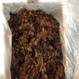 Nho khô nguyên cành