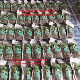 TRÀ MÃNG CẦU XIÊM NGUYỄN ĐẸP GÓI 100GR