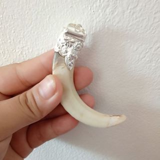 mặt dây chuyền nanh heo rừng thật bọc bạc ta