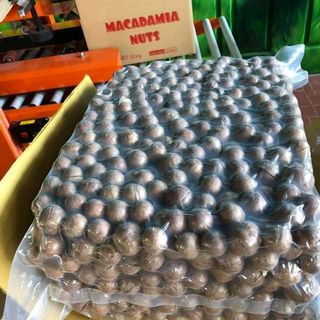 Macca