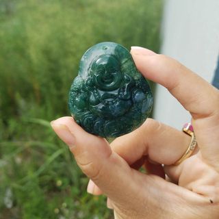 Di lặc xanh ngọc băng thuỷ tảo