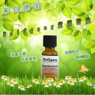 TINH DẦU BẠC HÀ HOA OẢI HƯƠNG ĐỨC