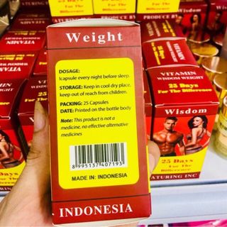 Tăng cân Wisdom Weight