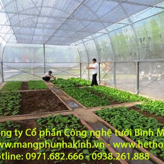 Đầu tư 2000m2 nhà lưới vốn bao nhiêu đầu tư rau thủy canh nhà lưới trang trại dự án rau an toàn trong nhà màng