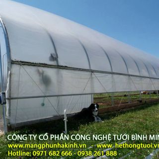 Đầu tư 2000m2 nhà lưới vốn bao nhiêu đầu tư rau thủy canh nhà lưới trang trại dự án rau an toàn trong nhà màng