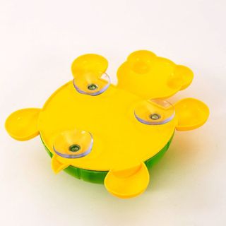 Dụng cụ để bàn chải và kem đánh răng hình chú rùa đáng yêu