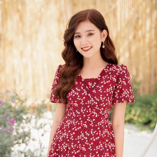 ĐẦM HOA NHÍ CỔ V