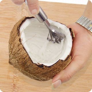 Dụng cụ đánh vảy cá nạo dừa