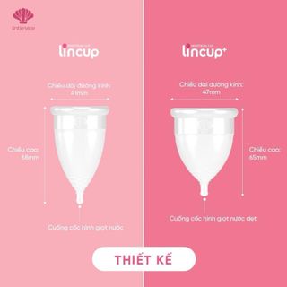 Cốc nguyệt san Lincup