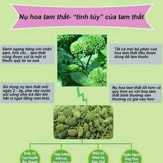 Nụ Hoa Tam Thất