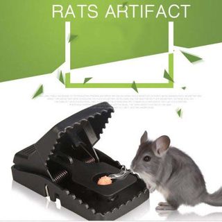 kẹp bẫy chuột siêu nhạy