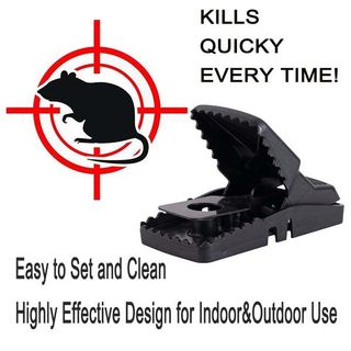 kẹp bẫy chuột siêu nhạy