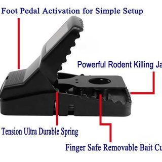 kẹp bẫy chuột siêu nhạy