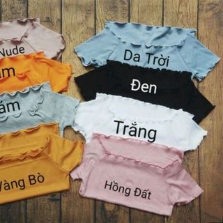 áo thun gân cuốn biên