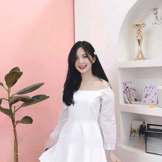 đầm tiểu thư xinh xắ/đầm sỉ