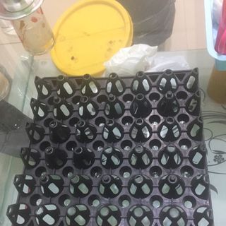 Chuyên sản xuất và phân phối vỉ nhựa đựng trứng Phú Hòa An giá tốt