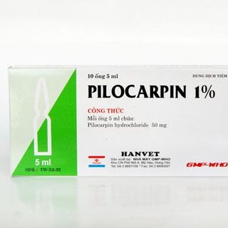 Pilocarpin 1 - Trị tích nước xoang bụng phù nề liệt dạ cả và bọng đái trên thú nuôi giá sỉ