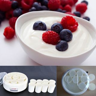 Máy làm sữa chua 16 cốc Hitops tiện dụng