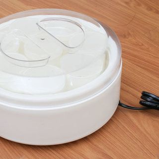 Máy làm sữa chua 16 cốc Hitops tiện dụng