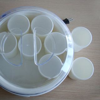 Máy làm sữa chua 16 cốc Hitops tiện dụng