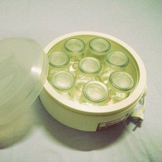 Máy làm sữa chua Siam 8 cốc thủy tinh
