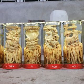 Bình đinh lăng điêu khắc các loại